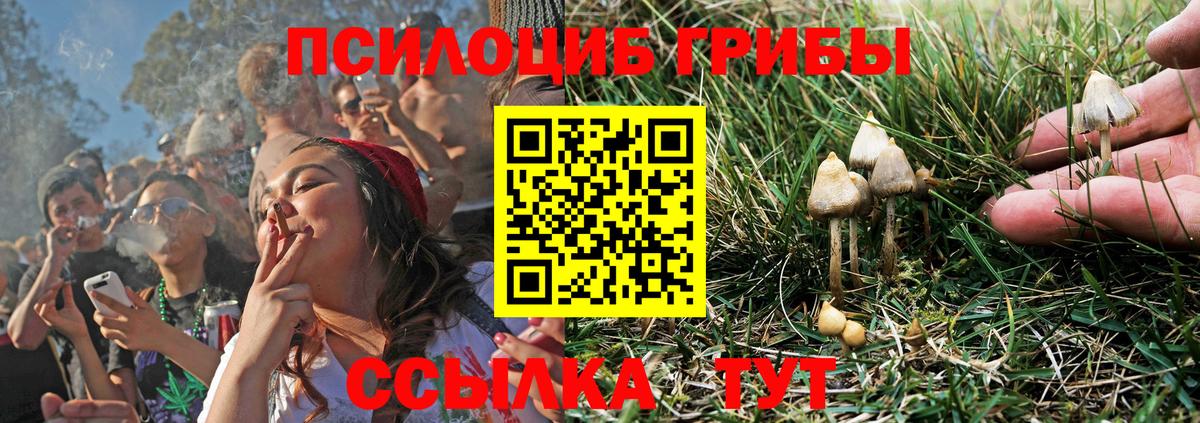Лабытнанги  Псилоцибиновые грибы GOLDEN TEACHER  Вход с VPN 